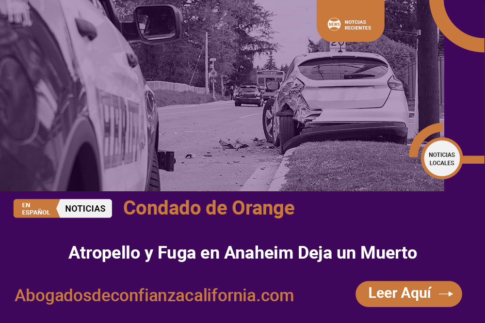 Atropello y Fuga en Anaheim