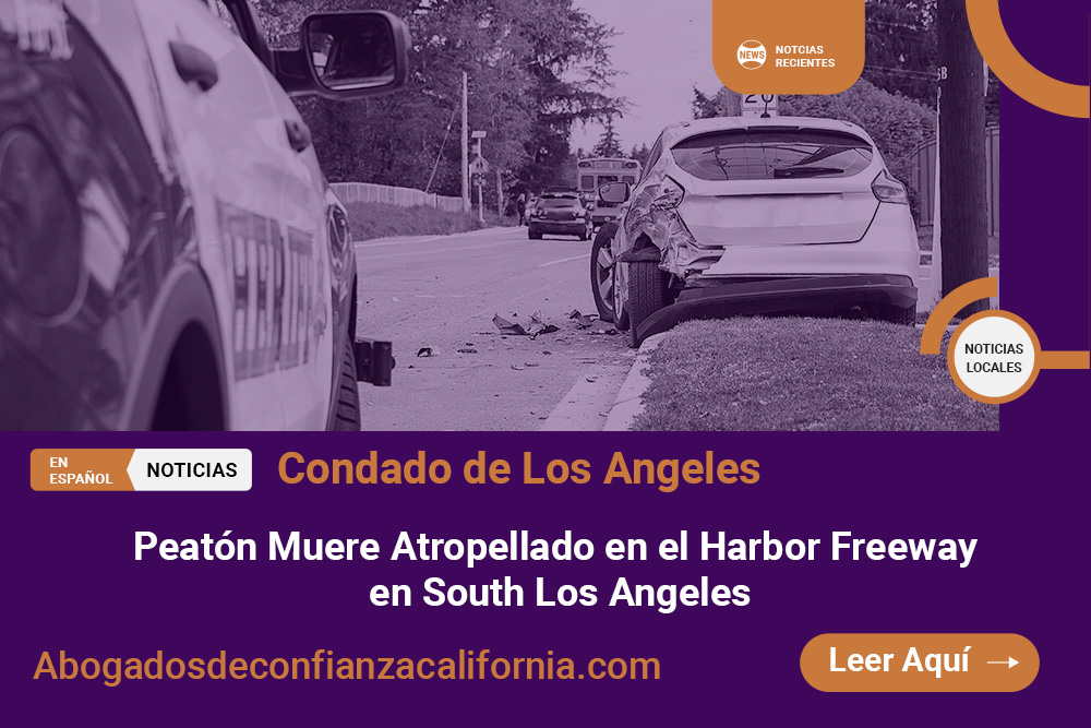 Atropellado en el Harbor Freeway