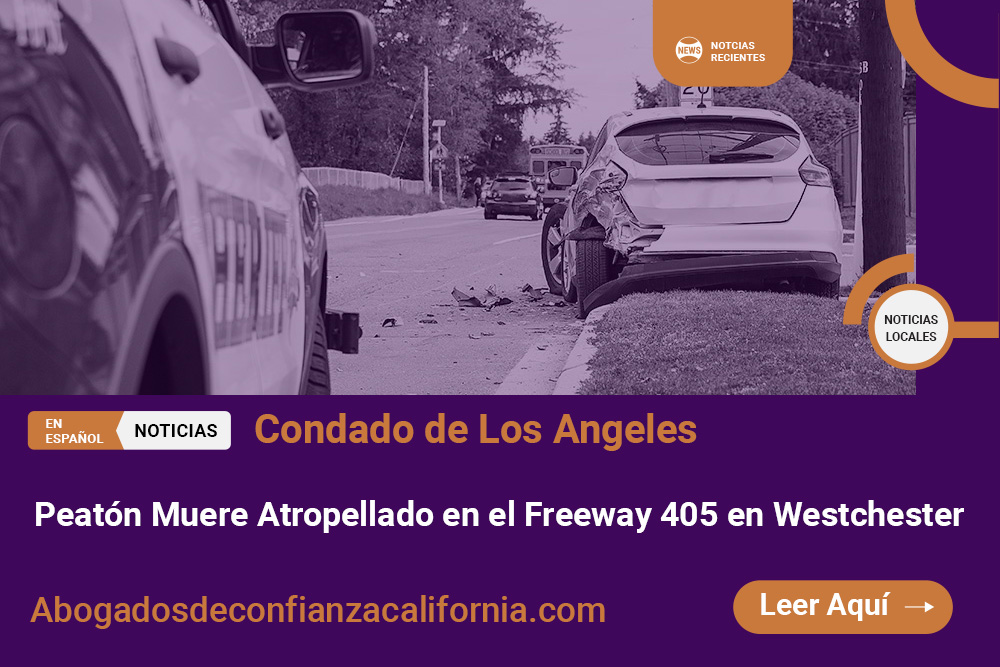peaton atropellado Freeway 405