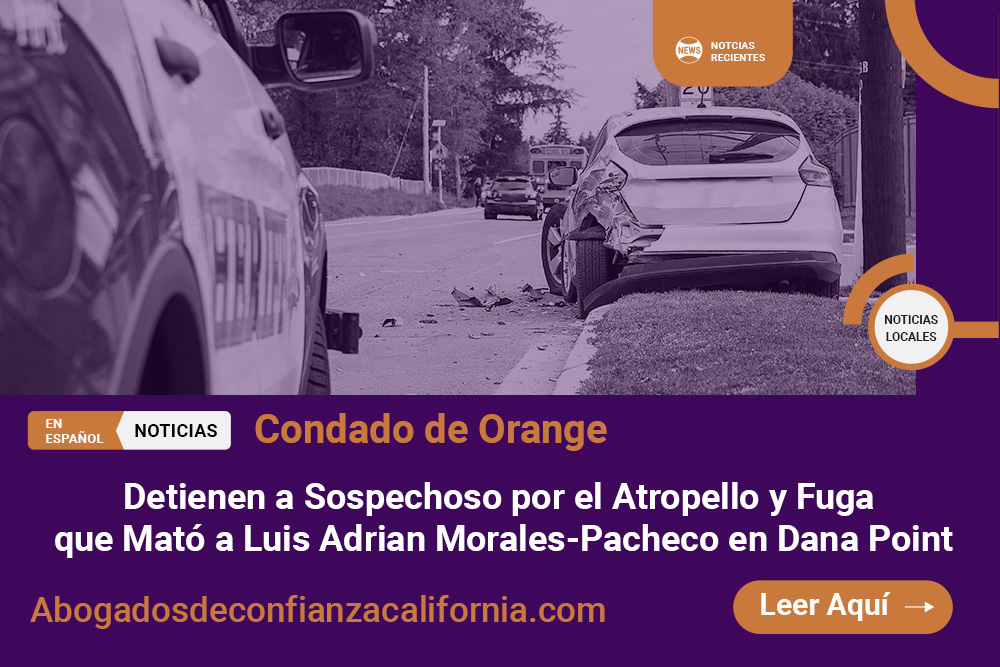 Luis Adrian Morales-Pacheco